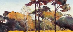 Autumn Vines & Trees - Franschhoek | 2019 | Oil on Canvas | 36 x 51 cm